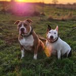jo - @jodie__manley - Instagram