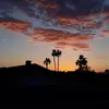 jodiolenikmayne - @jodiolenikmayne - TikTok