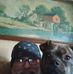 Jody Mccormick - Facebook