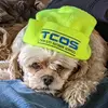 Jodi McGillis Beighl - @jodimcgillisbeighley - TikTok