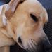 Jodi Mcgrath - Facebook
