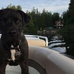 Jodi Mcgrath Church - @yehehisbdhienevzubs - Instagram