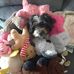 Jodie McGregor - Facebook