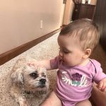 Jodi Dalton Messer - @jodimesser - Instagram