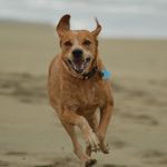 Jodi K. Miner - @jokimi16 - Instagram