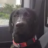 jodiminer825 - @jodiminer825 - TikTok