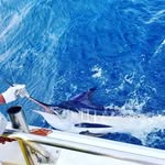 Jody Morin - @morinjody - Instagram