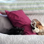 JODY MORIN - @jodymorin - Instagram