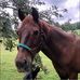 Jodie Napier - Facebook