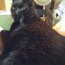 Jodi Nickerson - Facebook