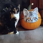 Jodi O'Dell - Facebook