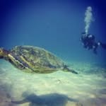 Jody Ogden - @jodyeogden - Instagram