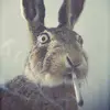 Jodi Ouellette - @jodiouellette7 - TikTok