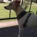 Jody Parsons - Facebook