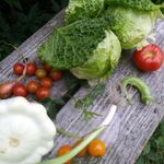 Jodi Payne - @howdoesyourgardengrow1 - Instagram