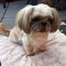 Jodi Payne - Facebook