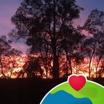 Jodi Pickett - @jodi_pickett126 - Instagram