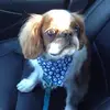 jodipomeroy - @jodipomeroy - TikTok