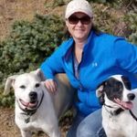 Jodi Poole - @jolypoole - Instagram