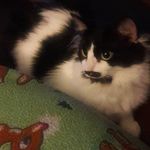 Jodi Poole - @jodpoole - Instagram