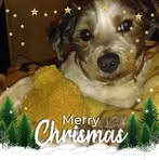 Jodi Pope-schoenau - Facebook