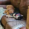 Jodi Pugh - @jodi.pugh4 - TikTok