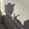 JodiRoman - @metzmbrdsrw - TikTok