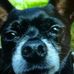 Jodi Rowe - Facebook