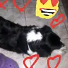 JodiRusso - @jodirussoherwmnq - TikTok