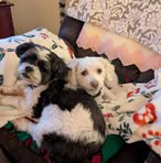Jodi Sadler - Facebook