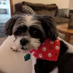 Jodi Sadler - @tulaabby2 - Instagram