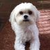 Jodi Sansone - Facebook