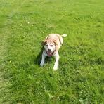 Jodie Sawyer - Facebook
