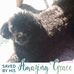 Jodi Schell - Facebook