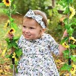 Jodi Schmitz Vance - @jodipc9089 - Instagram