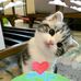 Jodi Sarman - Facebook