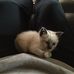 Jodi Self - Facebook