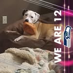 Jodi Shoemaker - @jodi.shoemaker0863 - Instagram