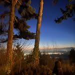 Jodi Garber-Simon - @jodigwen - Instagram
