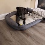 Jojo - @jodismiley25 - Instagram