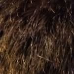 Jody Sneed - @jody_sneed - Instagram