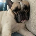 Jodi Snider - @jodisnider62 - Instagram