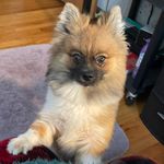 Jodi Snodgrass Dyer - @jodi.dyer1962 - Instagram