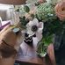 Jodi Snow - Facebook