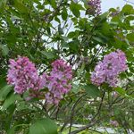 Jodi Sorenson - @jodisorenson76 - Instagram