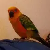 jodiespeakman7 - @jodiespeakman7 - TikTok