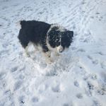 Jodi Spears - @spears5735 - Instagram