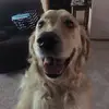 Jodi Specht - @jodi.specht - TikTok