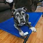 Jodi Speck Brown - @jodispeckbrown - Instagram