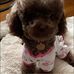 Jodi Spencer - Facebook